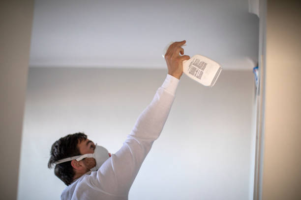 Best Mold Remediation Experts  in East Williston, NY