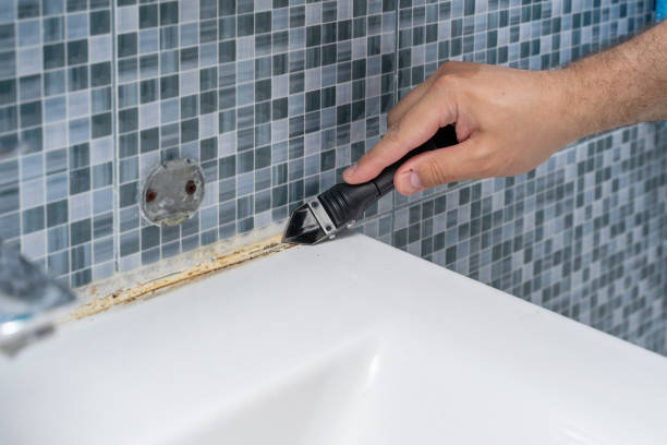 Best Mold Cleaning Services  in East Williston, NY