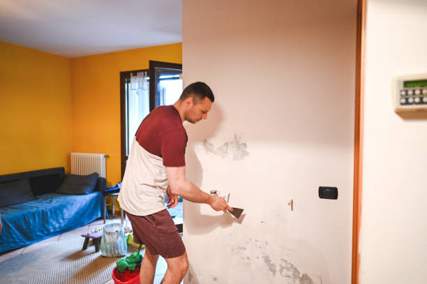 Best Mold Remediation Experts  in East Williston, NY